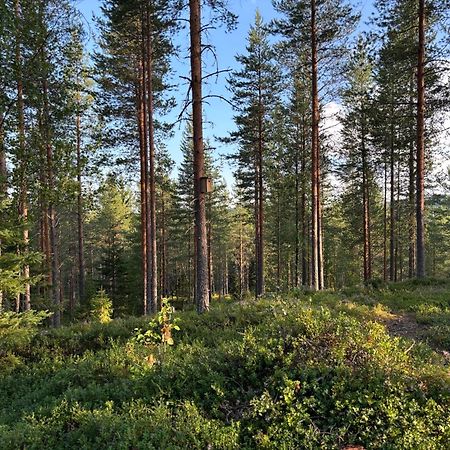 Loppiaiskaari 5, Paljakka Puolanka ภายนอก รูปภาพ