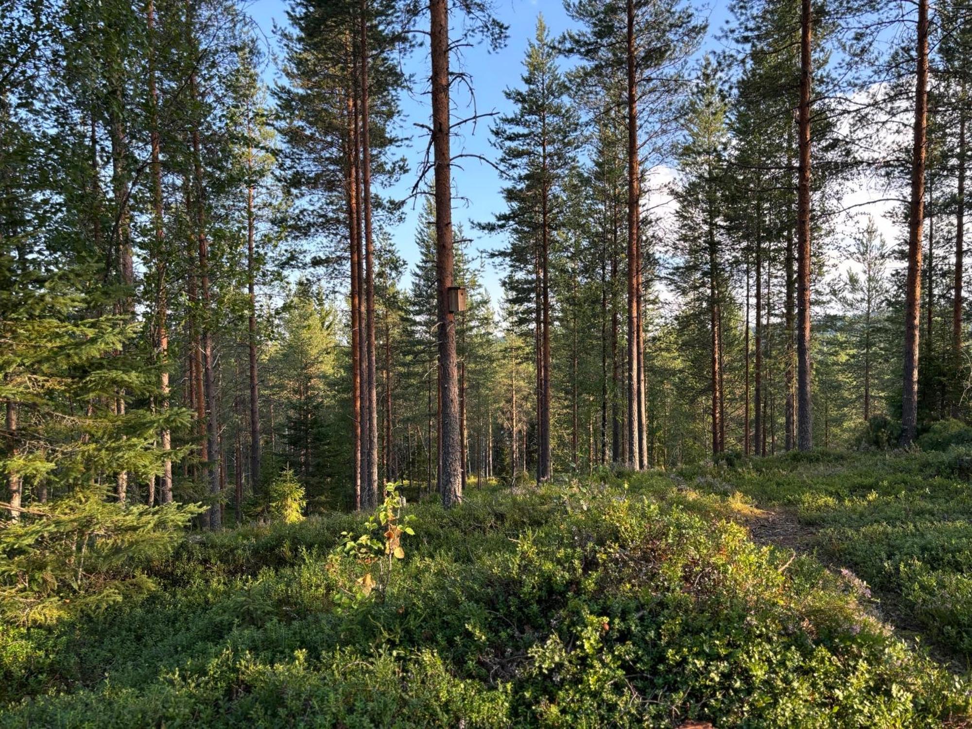 Loppiaiskaari 5, Paljakka Puolanka ภายนอก รูปภาพ